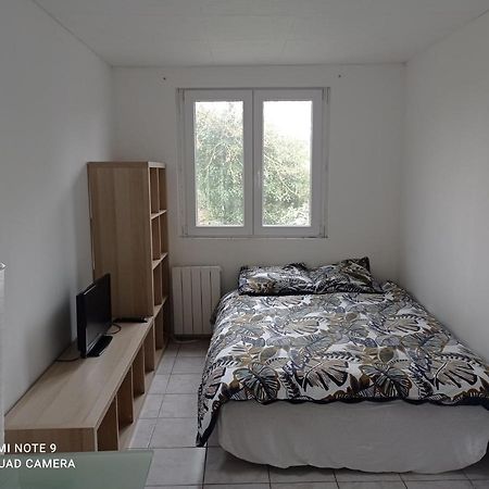 Apartament Studio Efficace, Calme Et Comfortable Albi Zewnętrze zdjęcie