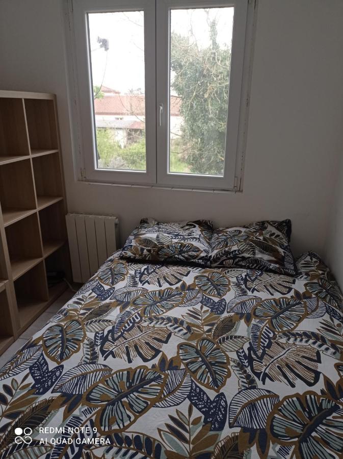 Apartament Studio Efficace, Calme Et Comfortable Albi Zewnętrze zdjęcie